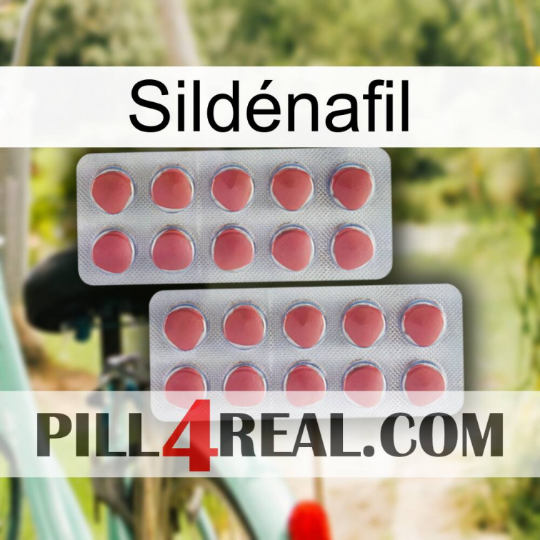 Sildénafil 19